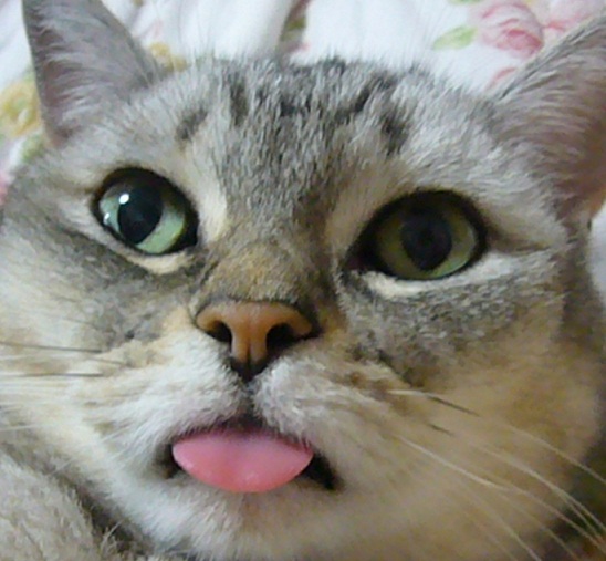 この顔が好きなんだ~(*^_^*)_f0002743_11343751.jpg