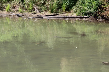 e0020945_15461788.jpg