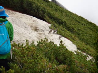 b0189948_20121426.jpg