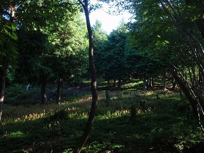 c0097754_12135478.jpg