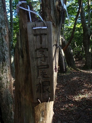 【鈴鹿/御池岳】慰霊を兼ねて久しぶりの御池岳テーブル散歩_c0097754_12155242.jpg