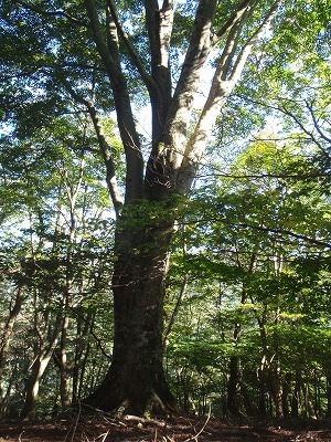 c0097754_12161755.jpg