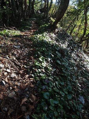 【鈴鹿/御池岳】慰霊を兼ねて久しぶりの御池岳テーブル散歩_c0097754_12174398.jpg