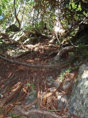 c0097754_12175581.jpg