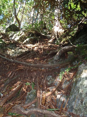 【鈴鹿/御池岳】慰霊を兼ねて久しぶりの御池岳テーブル散歩_c0097754_12175581.jpg