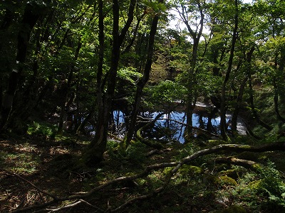 【鈴鹿/御池岳】慰霊を兼ねて久しぶりの御池岳テーブル散歩_c0097754_1220158.jpg