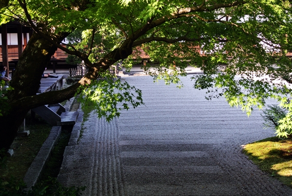 a0277866_20385173.jpg