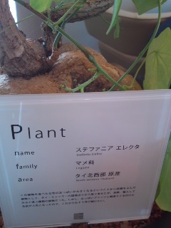 田尻の空音さんでランチ♪_e0136066_17582596.jpg