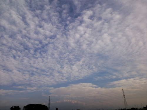 d0147774_12183392.jpg