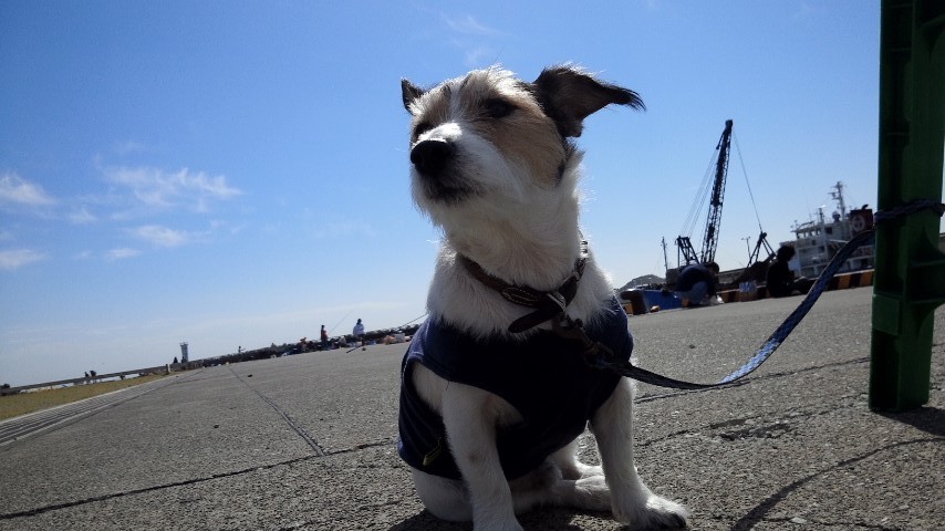 a0118079_23562448.jpg