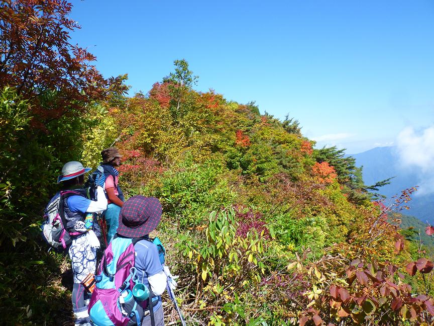 野谷荘司山2012-10-11　紅葉狩り_d0182188_21161448.jpg