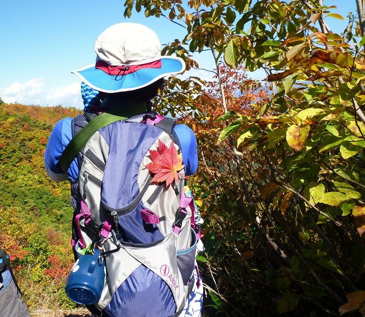 野谷荘司山2012-10-11　紅葉狩り_d0182188_21161666.jpg