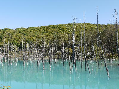 c0171889_1621593.jpg