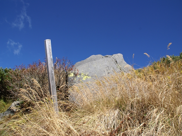e0271890_22201096.jpg