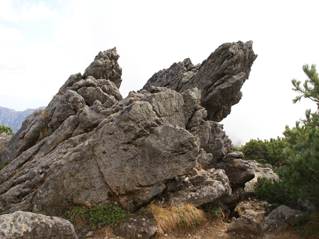 e0271890_22515389.jpg