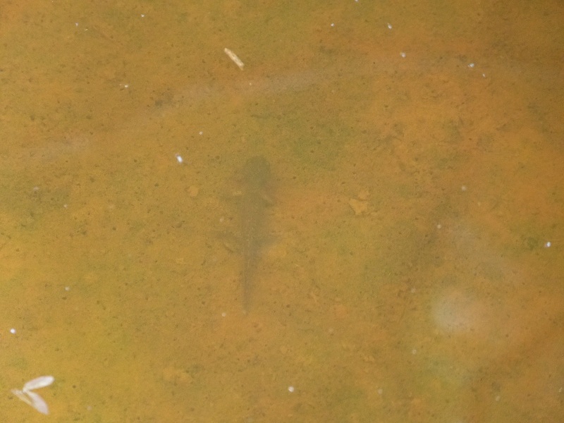 e0271890_23254752.jpg