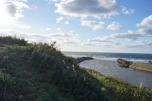 d0181492_642796.jpg