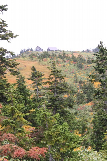 c0213096_1631360.jpg