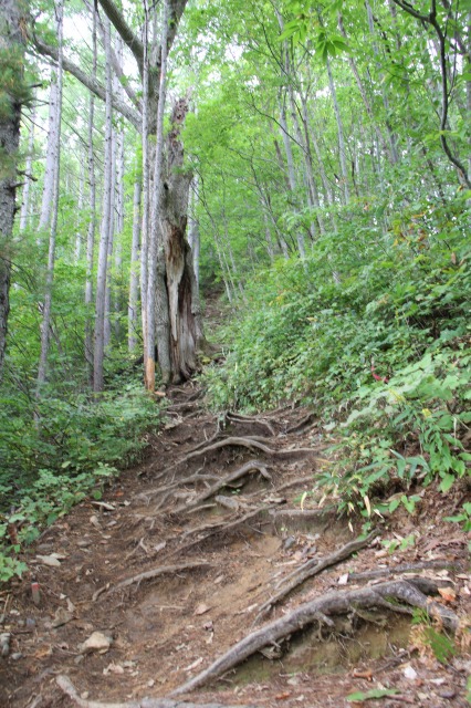 c0213096_1654210.jpg