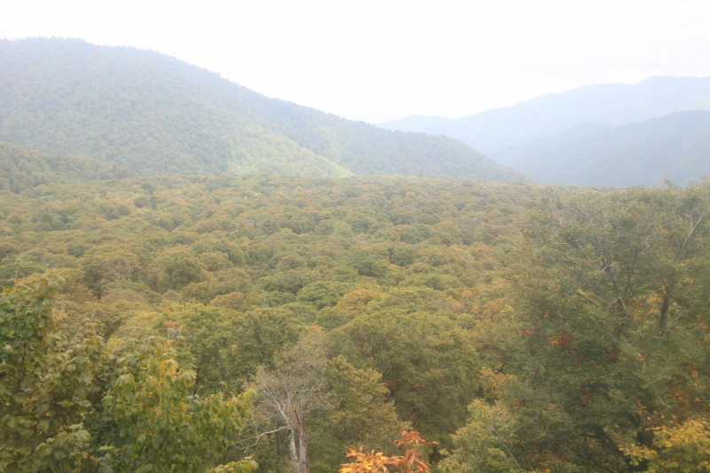 c0213096_1933814.jpg