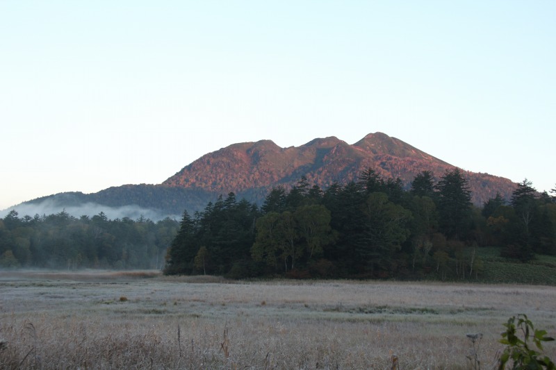 c0213096_2020661.jpg