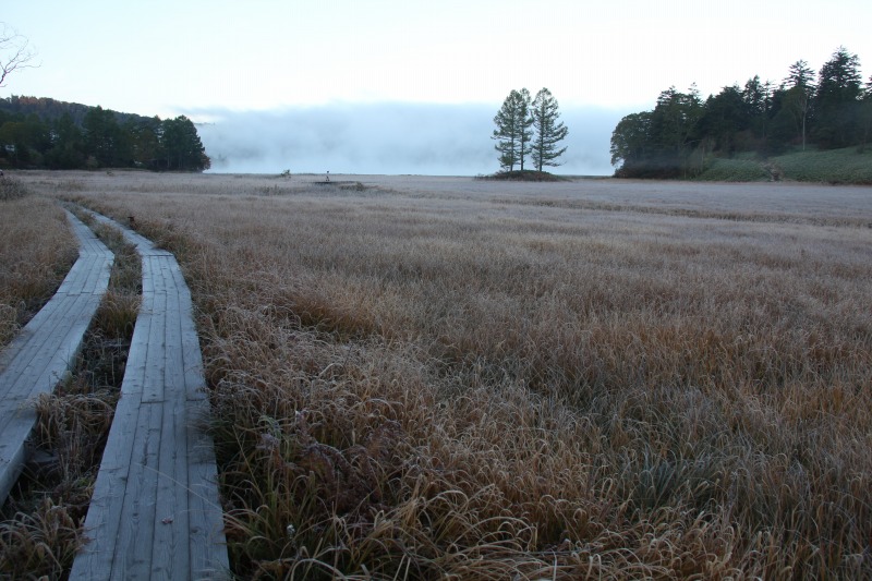 c0213096_20264413.jpg