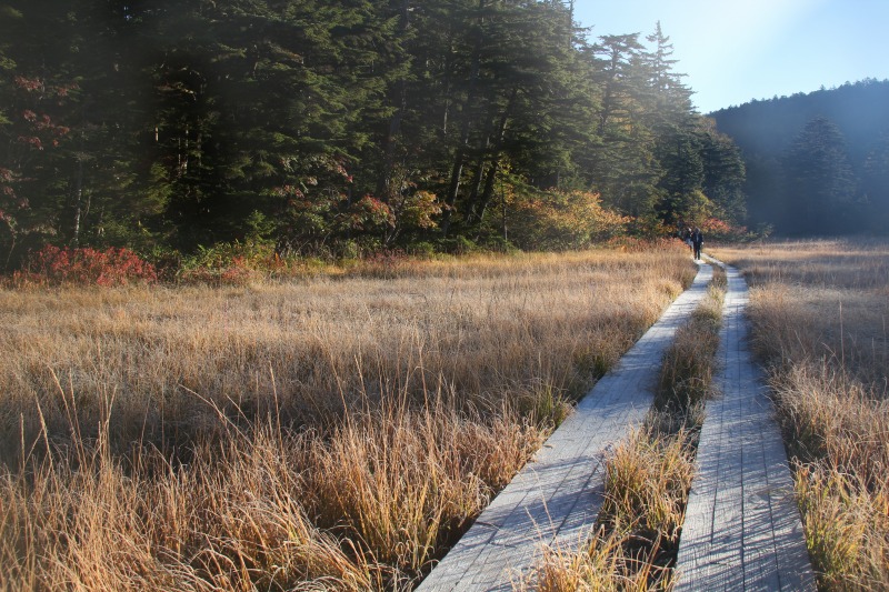 c0213096_2102848.jpg