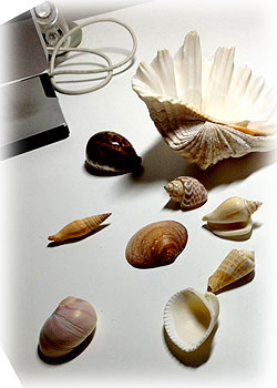 f0065896_2145545.jpg