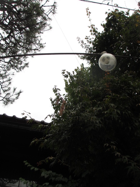 a0193698_19533474.jpg