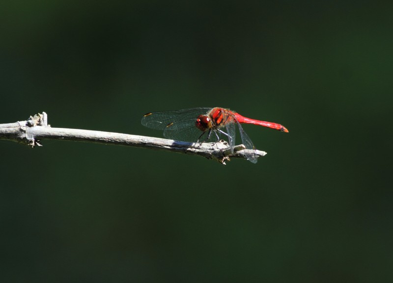 b0223198_7425180.jpg