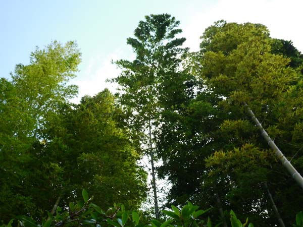 b0220499_0113648.jpg