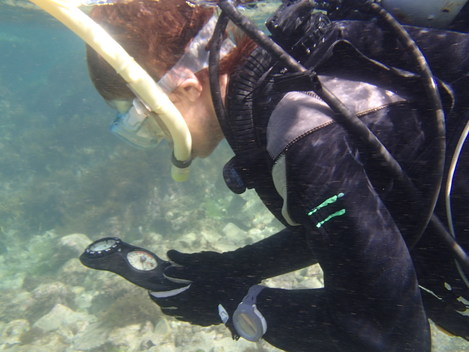 e0115199_13414287.jpg
