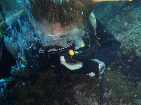 e0115199_13414753.jpg