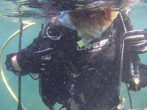 e0115199_134204.jpg