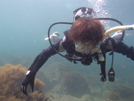 e0115199_1342961.jpg