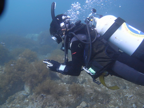 e0115199_13433293.jpg