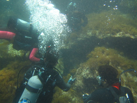 e0115199_14131125.jpg