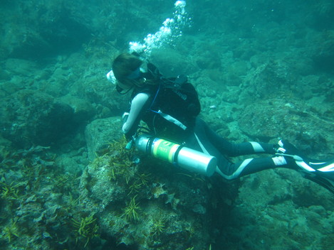 e0115199_14132342.jpg