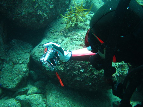e0115199_14291992.jpg