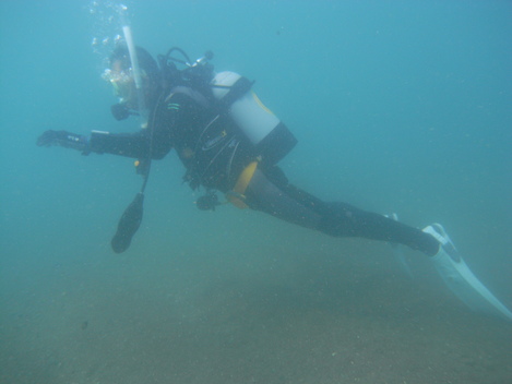 e0115199_22444164.jpg