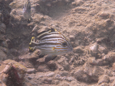 e0115199_22504698.jpg