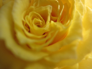b0232400_11195738.jpg