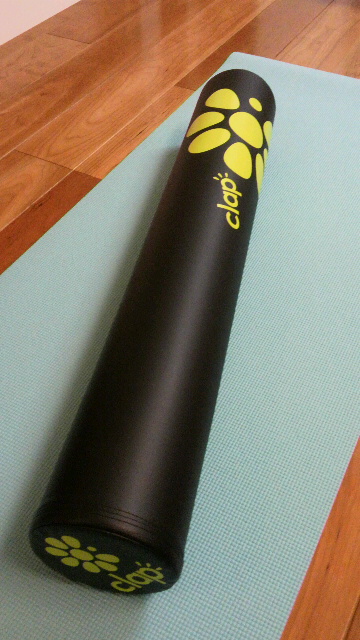 c0123400_12312478.jpg
