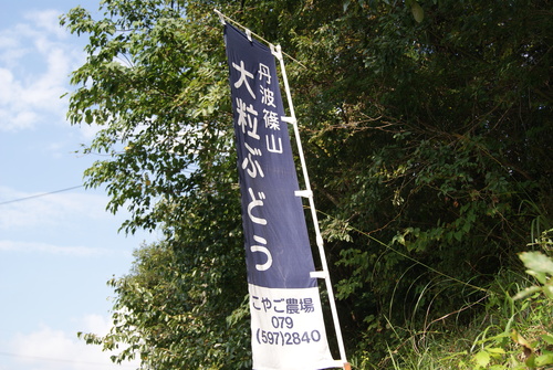 a0110702_1631032.jpg
