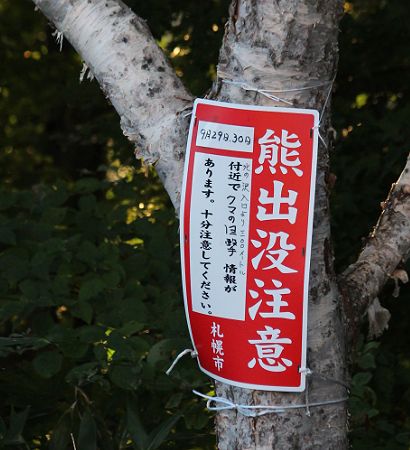 c0155902_2022149.jpg