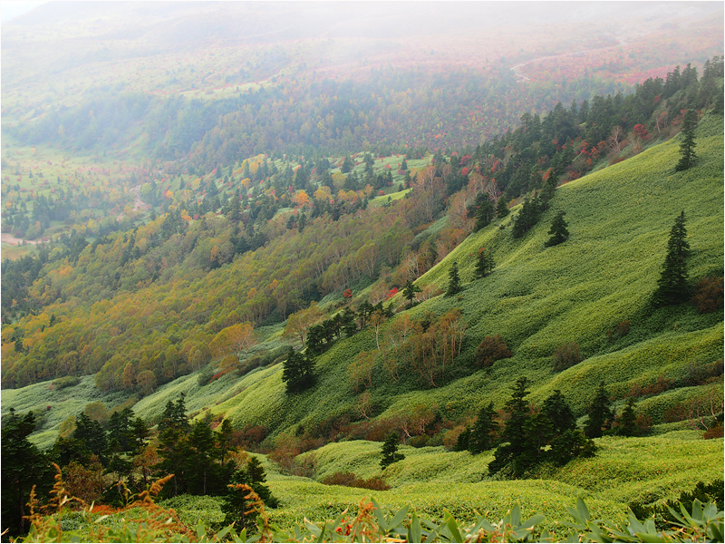 e0031502_13224110.jpg