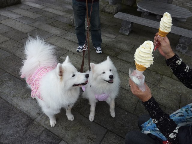 e0018604_12131277.jpg