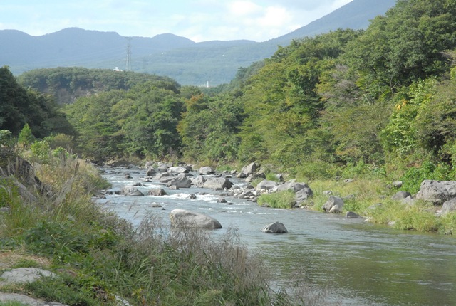 e0018604_14535179.jpg