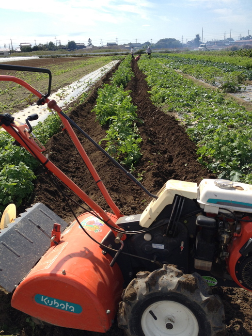 秋の増田農園研修 2012_c0130206_20372467.jpg