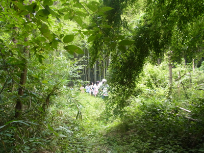 f0178806_22281424.jpg